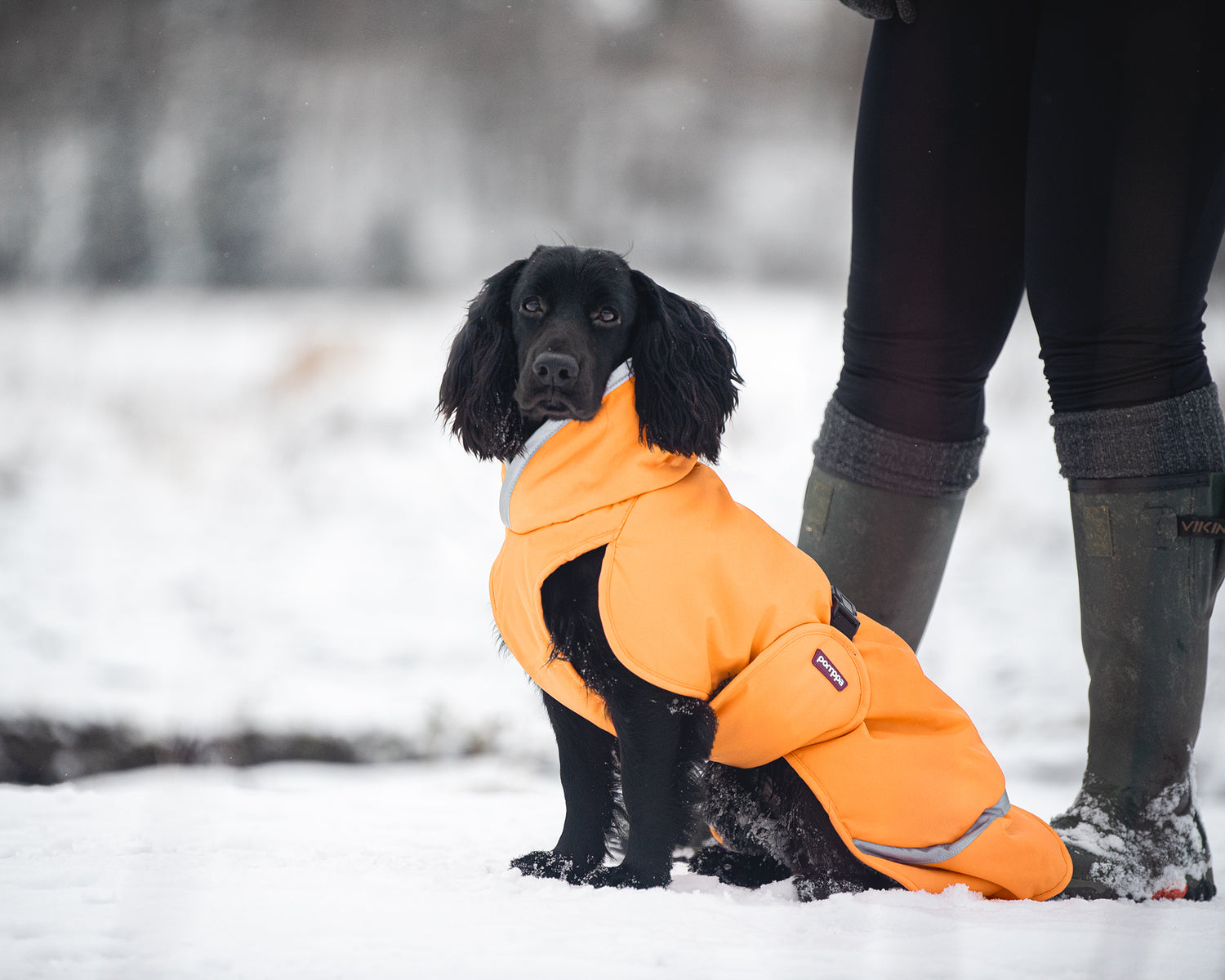 Pomppa Toppa Curry manteau imperméable doublé chien