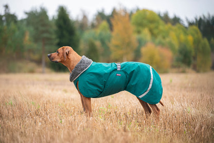 Pomppa Toppa Forest manteau imperméable doublé pour chien