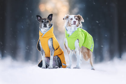 Pomppa Toppa Curry manteau imperméable doublé chien