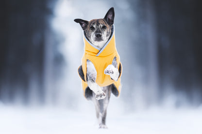 Pomppa Toppa Dandelion manteau imperméable doublé chien