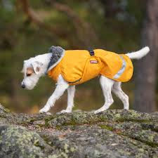 Pomppa Toppa Dandelion manteau imperméable doublé chien