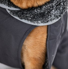 Pomppa Toppa Graphite manteau imperméable doublé pour chien