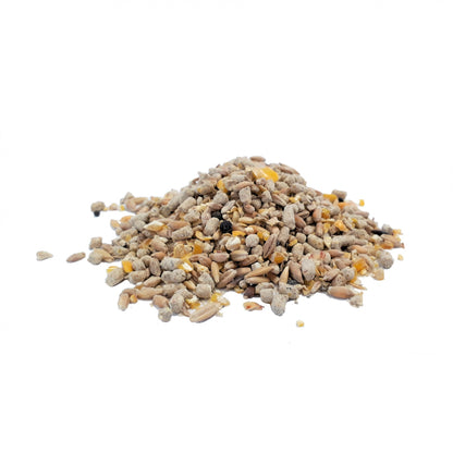 Aliment Pondeuse Bio