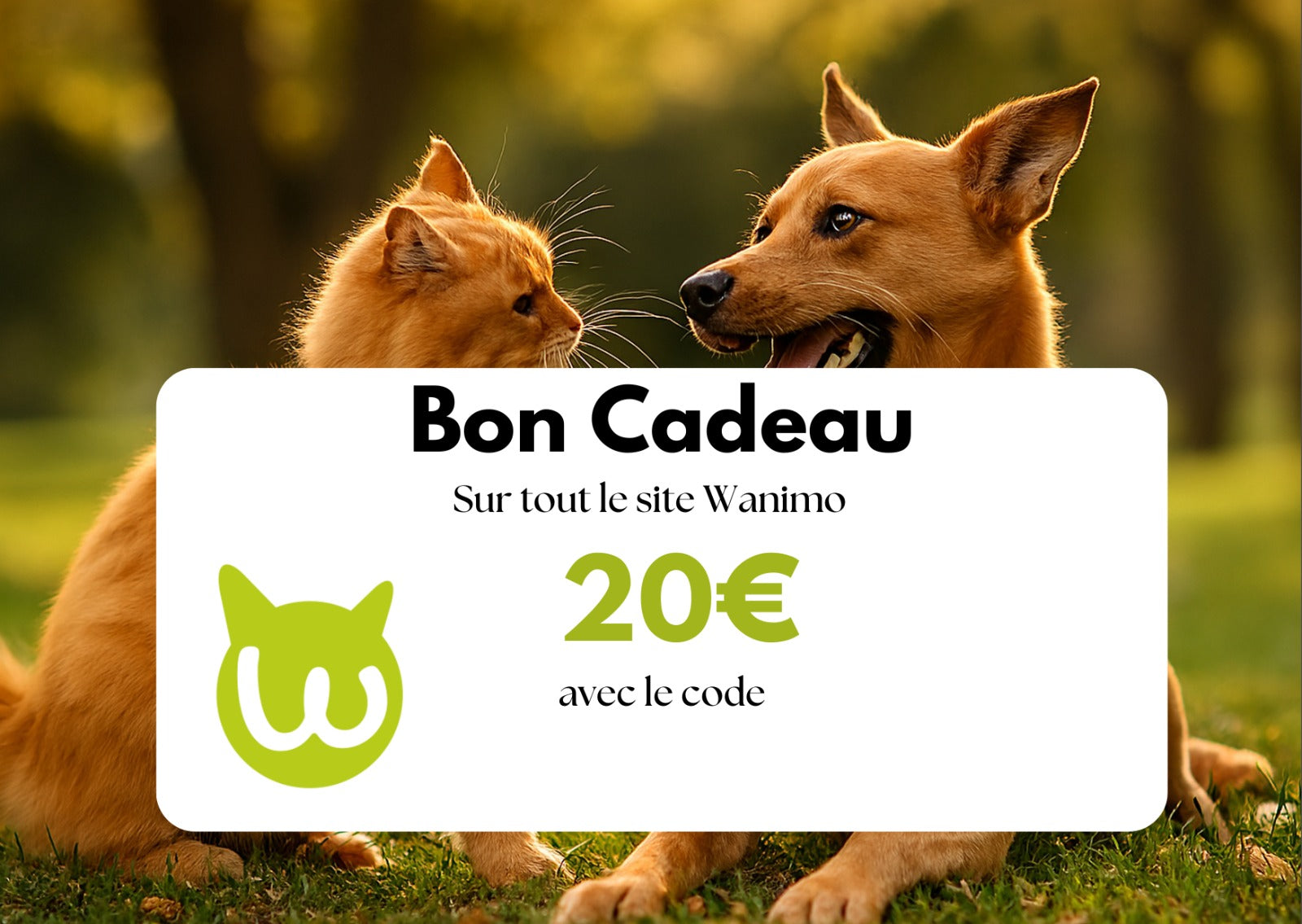Carte Cadeau Wanimo