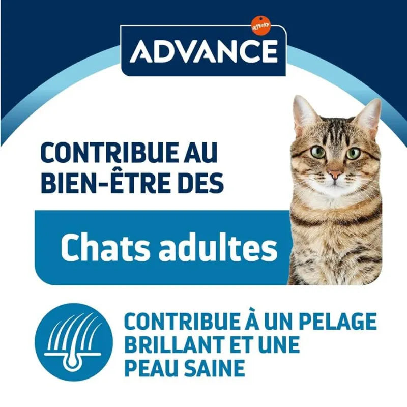 Advance Chat Sachet Repas Poulet 12x85G