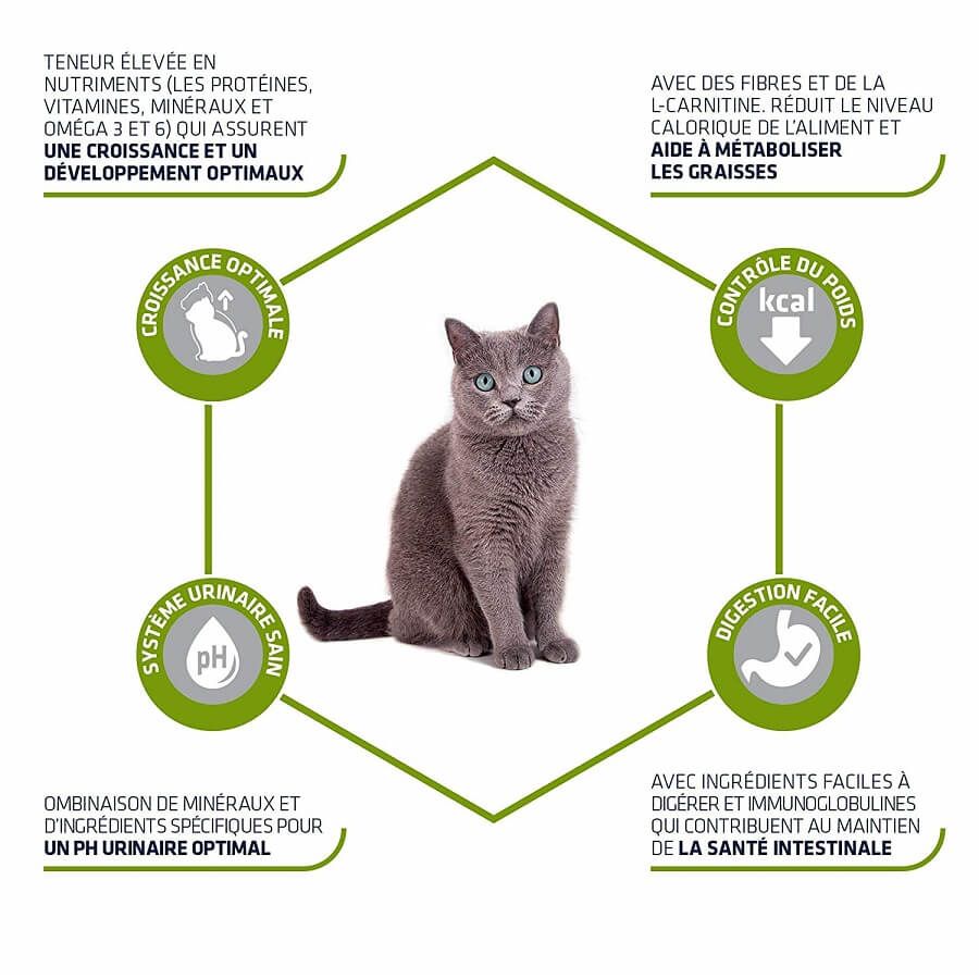 Advance Junior pour chatons stérilisés