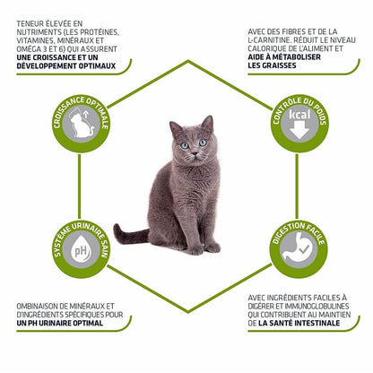 Advance Junior pour chatons stérilisés