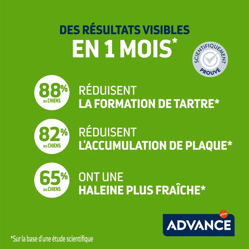 Advance Chien Snack Dental Mini