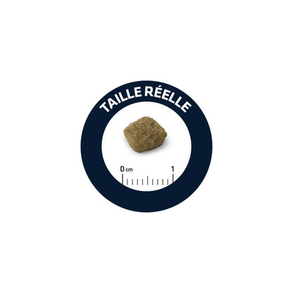 Advance Croquettes Chien Senior Mini 3kg