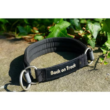 Back On Track Collier pour chien
