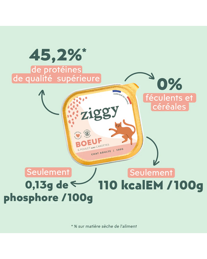 Ziggy Adult Boeuf Pâtée Pour Chat