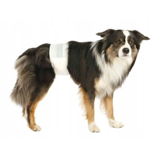 Couche culotte x 12 - Chien