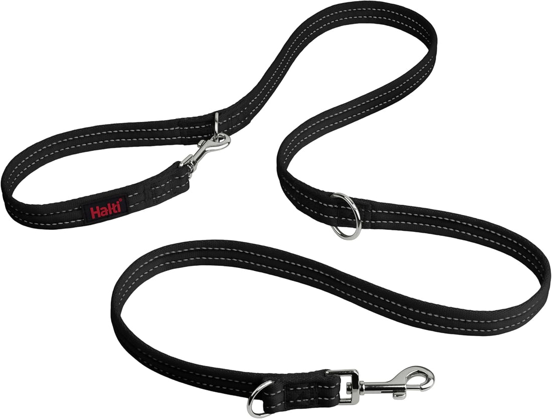 Laisse Halti 2m - Chien