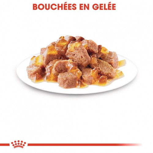 Royal Canin Sterilised - pâtée chat