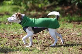 Pomppa Jumppa  Juniper manteau polaire chien