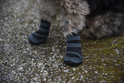 KERBL Chaussures Active - Chien