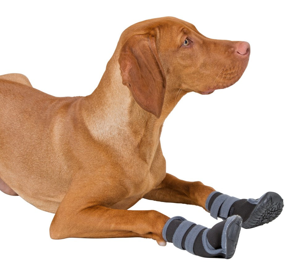 KERBL Chaussures Active - Chien
