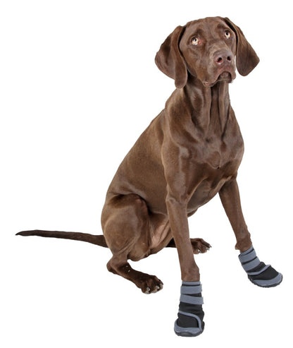 KERBL Chaussures Active - Chien