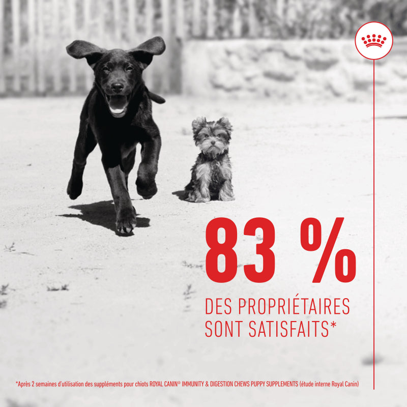 Aliment complémentaire Puppy Immunity &amp; Digestion Chews pour chiot