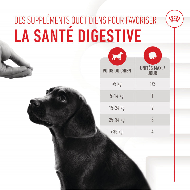 Aliment complémentaire Puppy Immunity &amp; Digestion Chews pour chiot