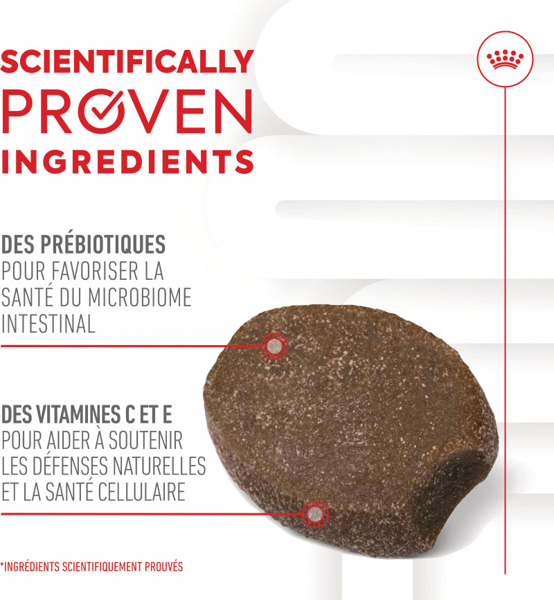 Aliment complémentaire Puppy Immunity &amp; Digestion Chews pour chiot