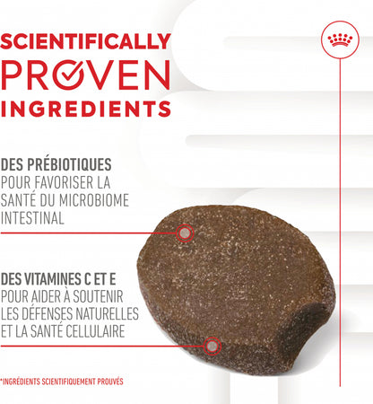 Aliment complémentaire Puppy Immunity &amp; Digestion Chews pour chiot