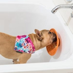 LickiMat Splash