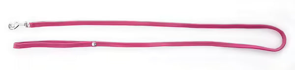 Laisse nylon