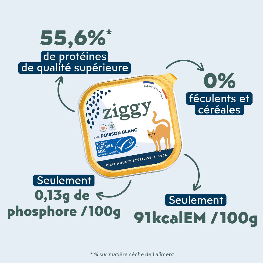 Ziggy  Stérilisés Saveur Poisson  Pâtée pour Chats Adult