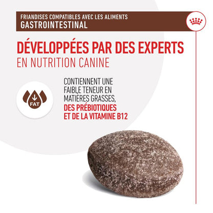 Royal Canin Gastrointestinal Treats chien