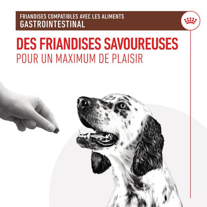 Royal Canin Gastrointestinal Treats chien