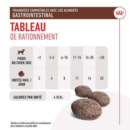 Royal Canin Gastrointestinal Treats chien