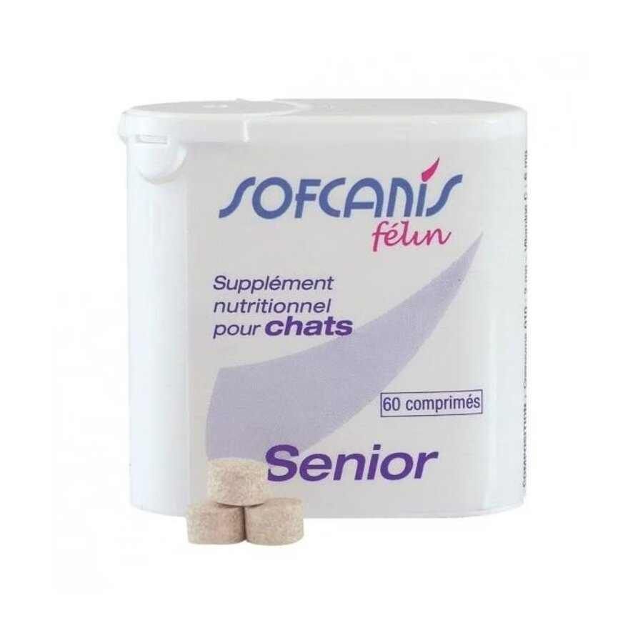 Sofcanis félin senior chat