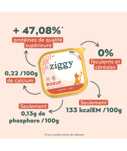Ziggy Chaton Boeuf Pâtée